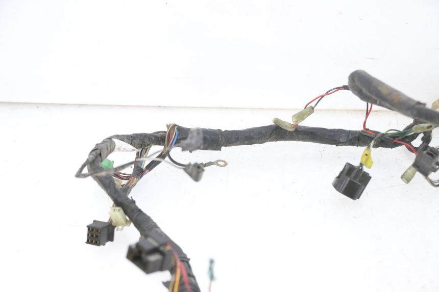 photo de WIRE HARNESS KAWASAKI ZR 7 750 (1999 - 2004) - Focus on structure