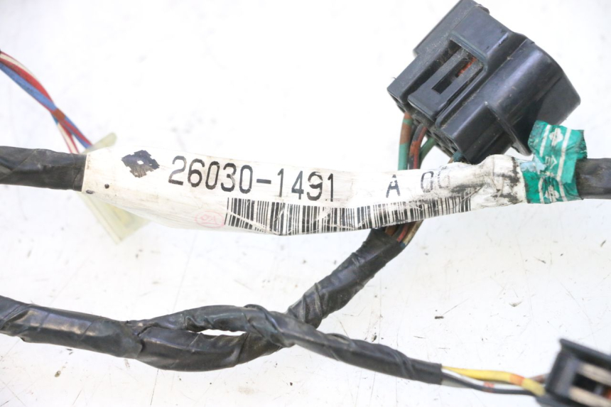 photo de WIRE HARNESS KAWASAKI ZZR 600 (1995 - 2004) - High-resolution close-up