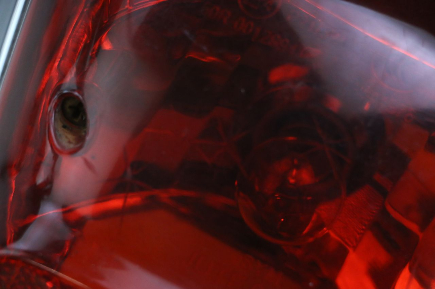 photo de REAR LIGHT SYM FIDDLE 2 50 (2008 - 2013) - Zoom on usage condition