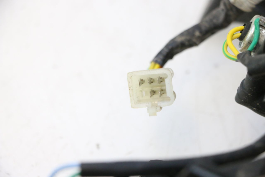 photo de REAR LIGHT PEUGEOT KISBEE 4T 50 (2018 - 2022) - Technical close-up