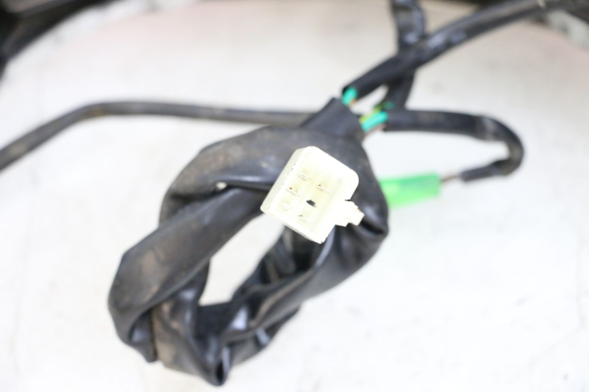 photo de TAIL LIGHT EUROCKA R8 4T 50 (2013 - 2022) - Product overview