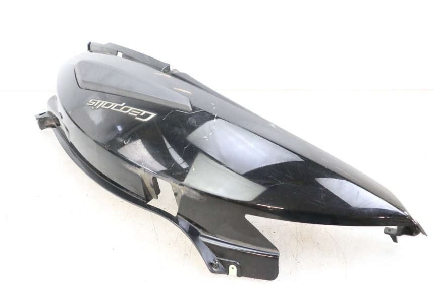 photo de REAR RIGHT PANEL PEUGEOT GEOPOLIS RS 125 (2007 - 2009) - Component detail