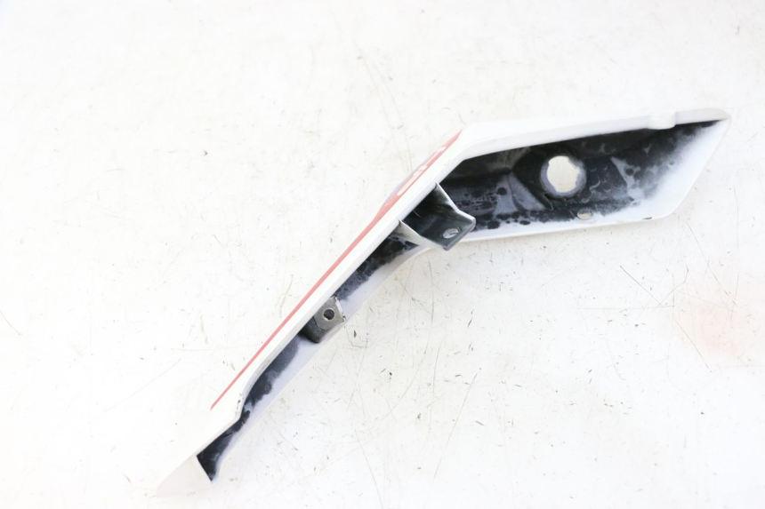 photo de REAR LEFT PANEL BMW G310 R 310 (2016 - 2020) - Technical close-up