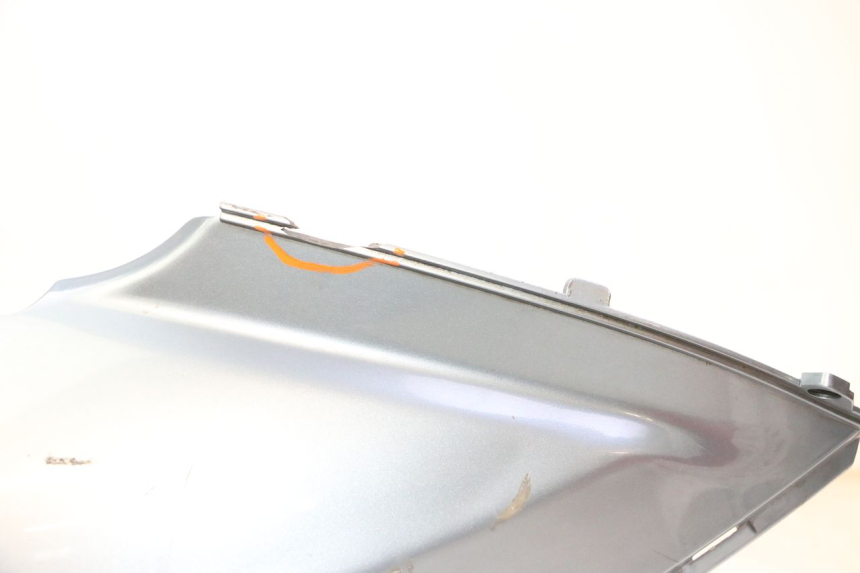 photo de REAR LEFT PANEL DAELIM HISTORY 125 (2001 - 2002) - Alternative perspective