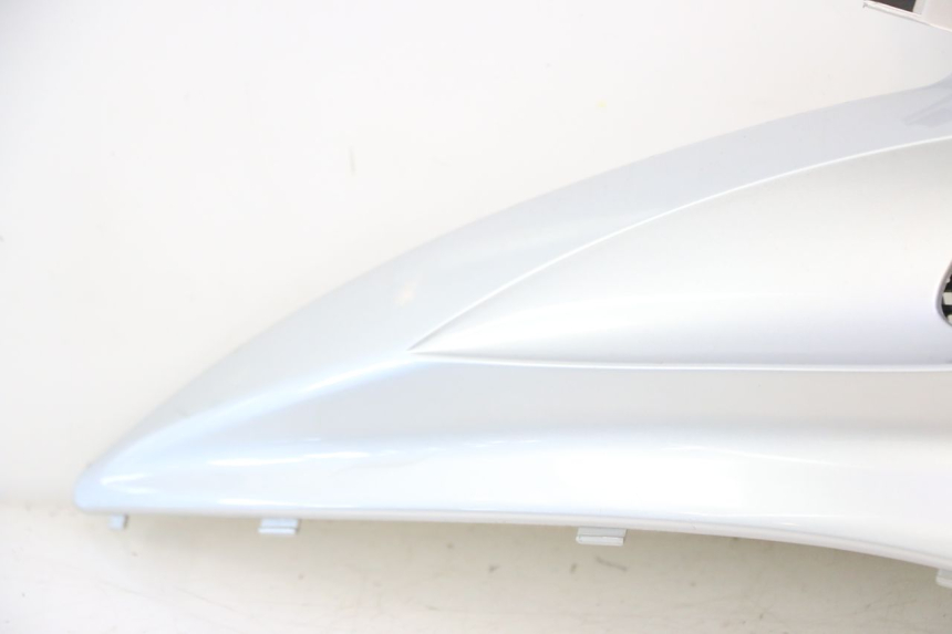 photo de REAR LEFT PANEL FYM SCOOTERONE 125 (2006 - 2008) - High-resolution close-up