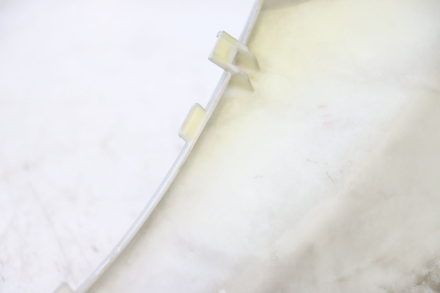 photo de REAR LEFT PANEL FYM SCOOTERONE 125 (2006 - 2008) - Alternative perspective