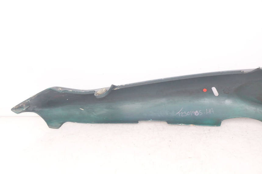 photo de LEFT REAR SIDE PANEL TRIUMPH SPRINT ST 955 (1999 - 2001) - Technical close-up