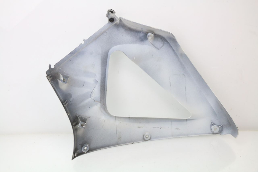 photo de RIGHT FRONT FAIRING HONDA CBR 929 RR FIREBLADE 900 (2000 - 2001) - Component detail