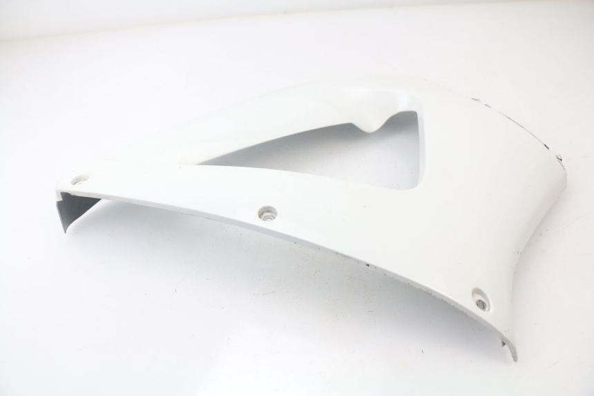 photo de RIGHT FRONT FAIRING HONDA CBR 929 RR FIREBLADE 900 (2000 - 2001) - Alternative perspective