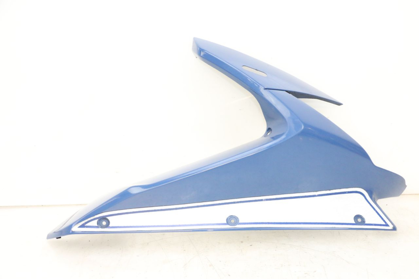 photo de RIGHT FRONT FAIRING YAMAHA FJR ABS 1300 (2006 - 2012) - Main view