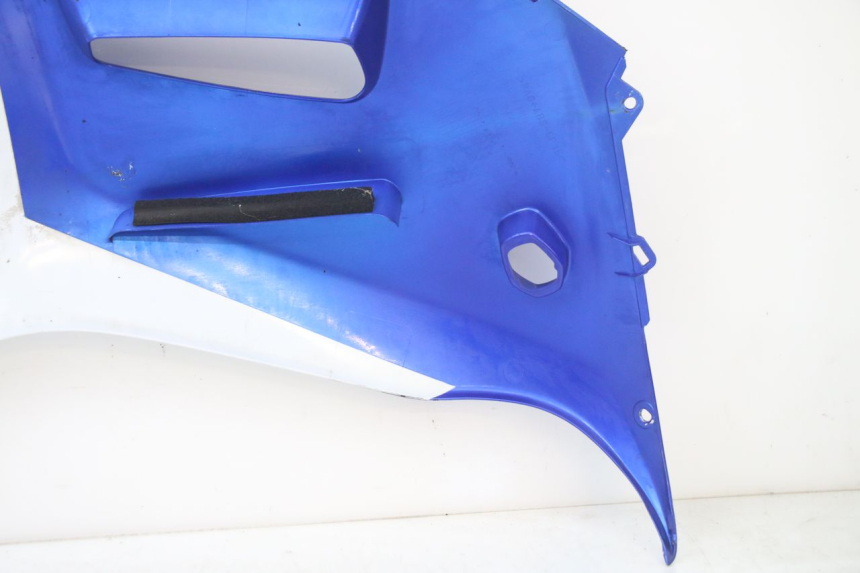 photo de LEFT FRONT FAIRING SUZUKI GSX F GSXF 650 (2007 - 2015) - High-resolution close-up