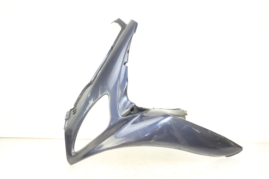 photo de LEFT FRONT FAIRING RENAULT KOURANOS 125 (2001 - 2004) - Main view