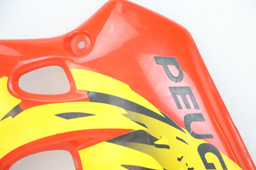 photo de LEFT FRONT SIDE PANEL PEUGEOT XP6 50 (1997 - 2003) - Surface and material condition