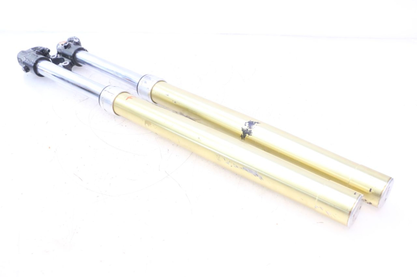 photo de FORKS LEG HM HONDA DERAPAGE 50 (2007 - 2009) - Main view