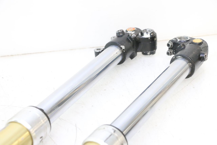 photo de FORKS LEG HM HONDA DERAPAGE 50 (2007 - 2009) - Focus on structure