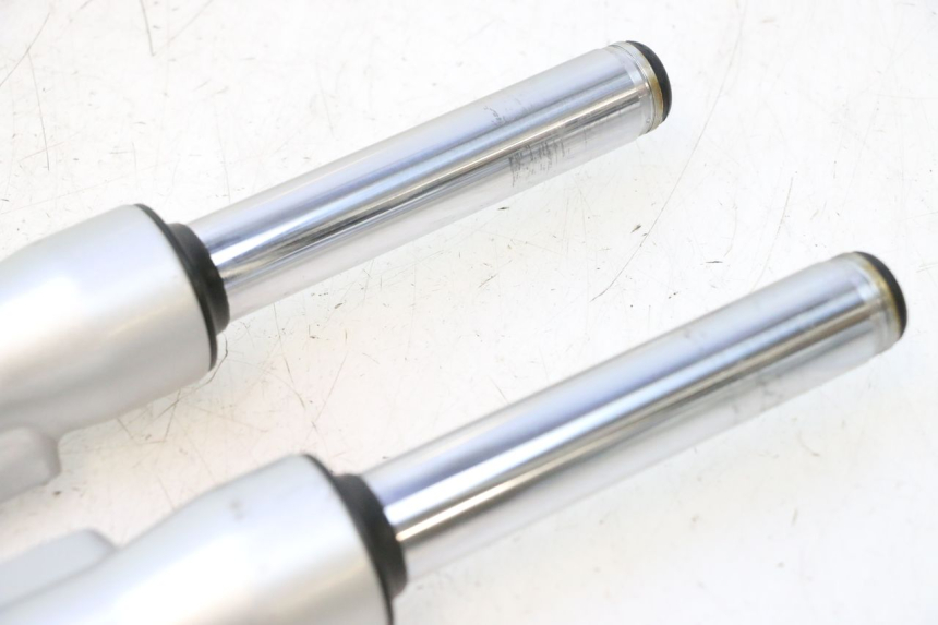 photo de FORKS LEG ASKOLL ESPRO 1 - Additional view of the item