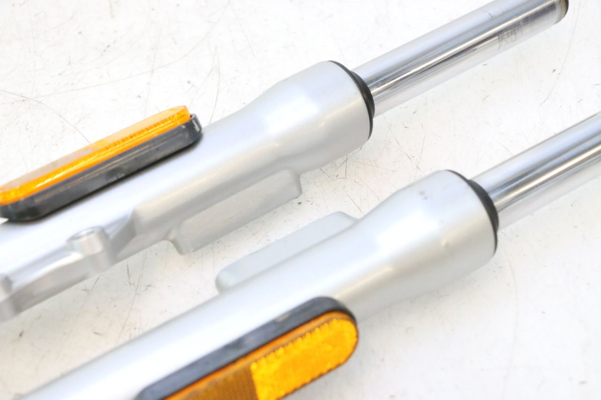 photo de FORKS LEG ASKOLL ESPRO 1 - Distinctive features