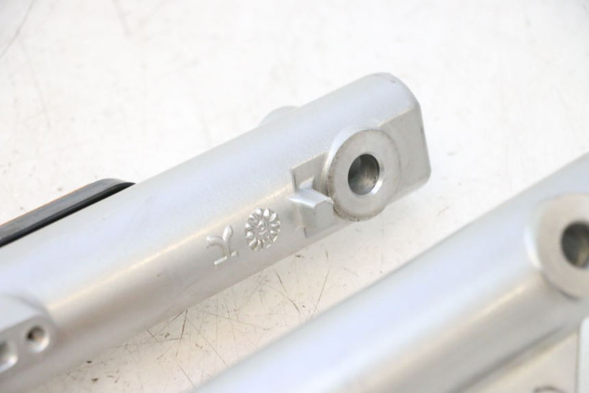 photo de FORKS LEG ASKOLL ESPRO 1 - Technical close-up