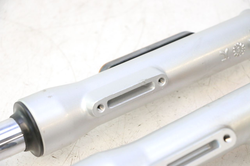 photo de FORKS LEG ASKOLL ESPRO 1 - Product overview