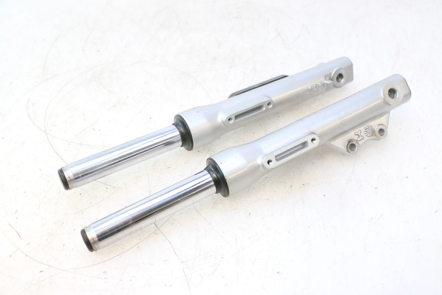photo de FORKS LEG ASKOLL ESPRO 1 - Fixing points details
