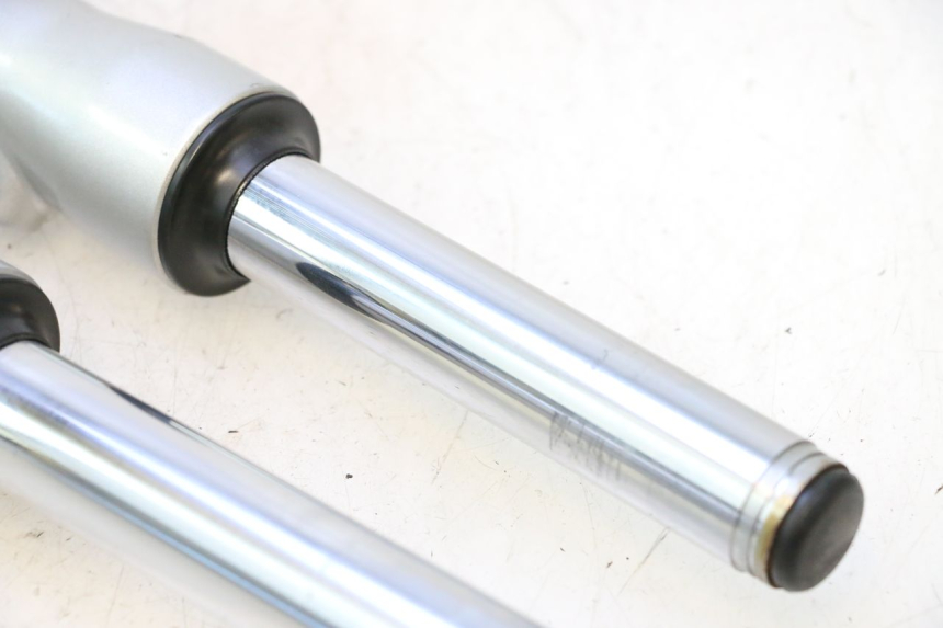 photo de FORKS LEG ASKOLL ESPRO 1 - Surface and material condition