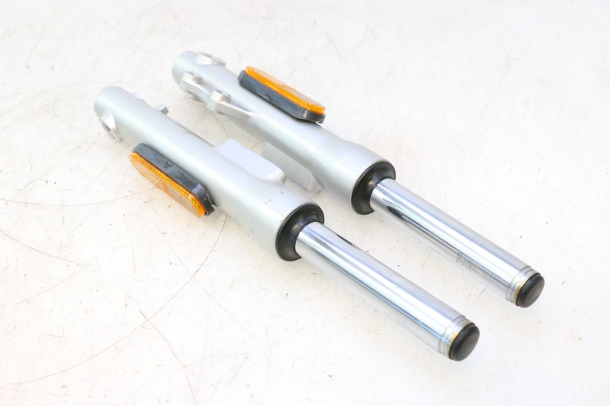 photo de FORKS LEG ASKOLL ESPRO 1 - Markings and original references