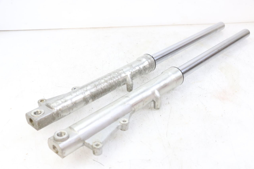 photo de FORKS LEG REGAL RAPTOR RAXTER 2 125 (2007 - 2015) - Main view