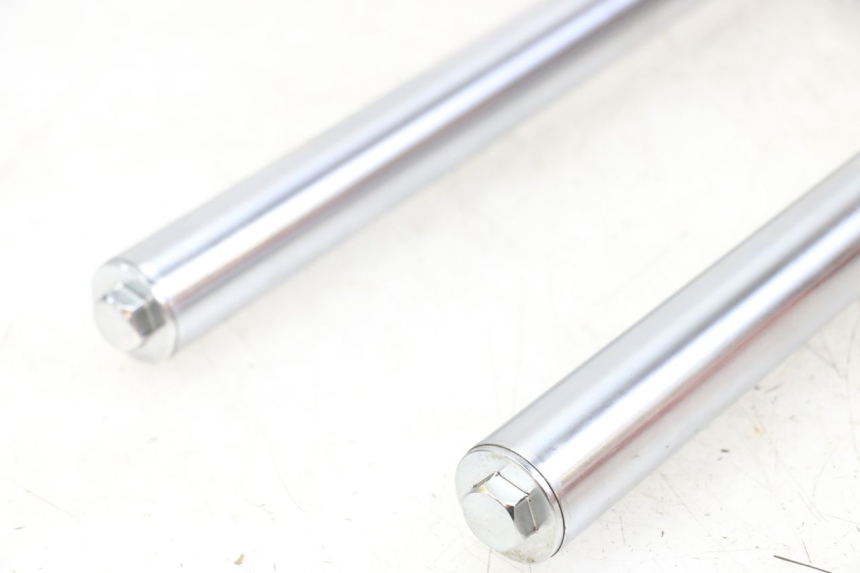 photo de FORKS LEG REGAL RAPTOR RAXTER 2 125 (2007 - 2015) - Checked used part
