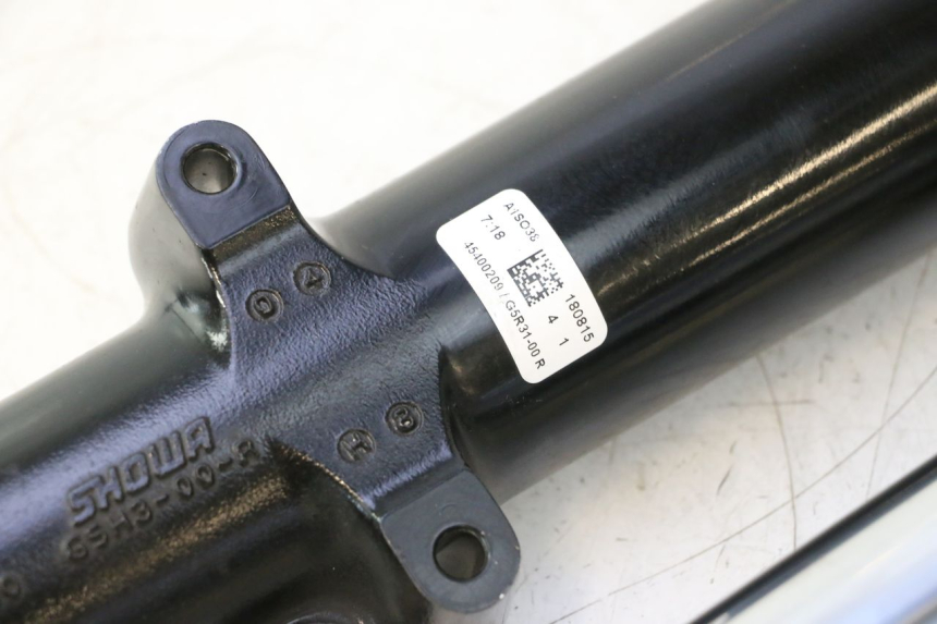 photo de FORKS LEG HARLEY DAVIDSON ROAD GLIDE FLTRXSE 1920 (2018 - 2022) - Distinctive features