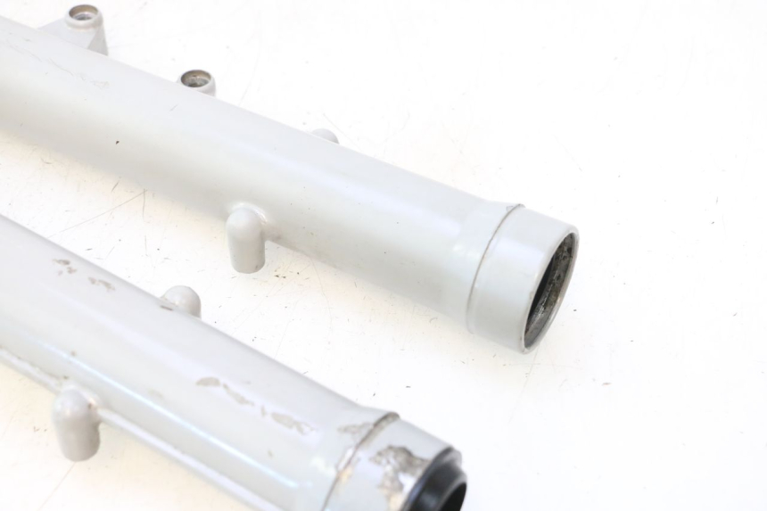 photo de FORKS LEG MZ RT 125 (2000 - 2008) - Markings and original references
