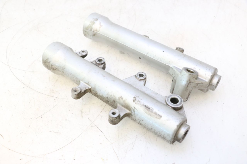 photo de FORKS LEG DAELIM S2 125 (2006 - 2007) - Markings and original references