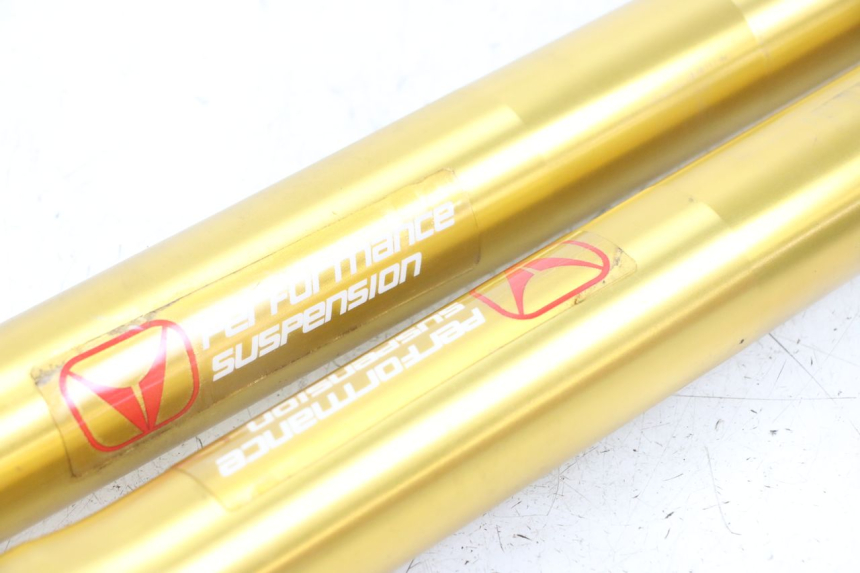 photo de FORKS LEG VENT DERAPAGE 50 (2018 - 2023) - Surface and material condition