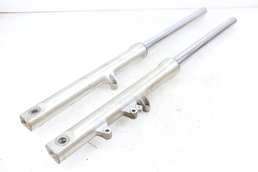 photo de FORKS LEG DAELIM VL DAYSTAR 125 (2000 - 2011) - Main view