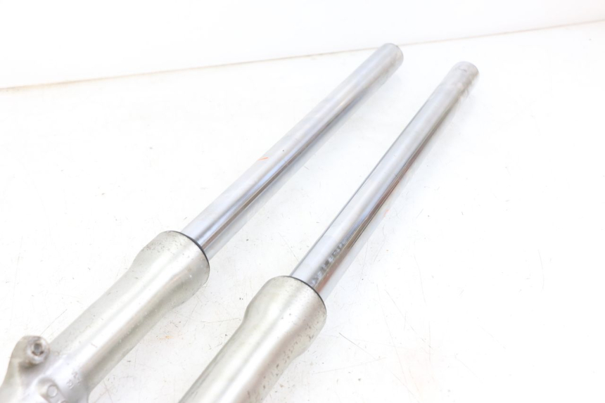 photo de FORKS LEG DAELIM VL DAYSTAR 125 (2000 - 2011) - Surface and material condition