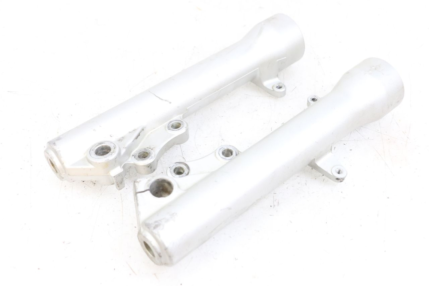 photo de FORKS LEG PIAGGIO X9 125 (2000 - 2003) - Main view