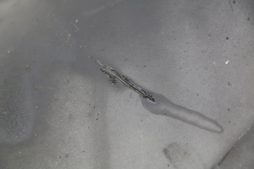 photo de REAR MUDGUARD HONDA FORZA 125 (2015 - 2016) - Component detail