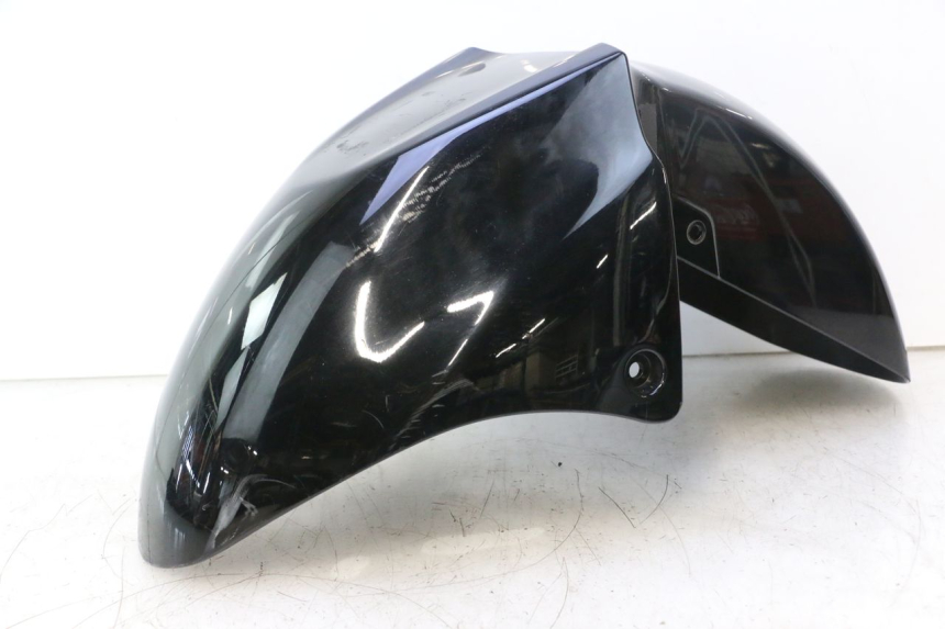 photo de FRONT FENDER SUZUKI BURGMAN EXECUTIVE ABS 650 (2006 - 2012) - Main view