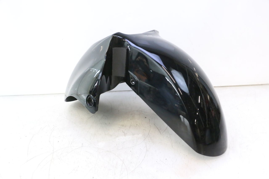 photo de FRONT FENDER SUZUKI BURGMAN EXECUTIVE ABS 650 (2006 - 2012) - Technical close-up