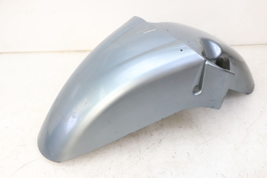 photo de FRONT FENDER DAELIM HISTORY 125 (2001 - 2002) - Main view