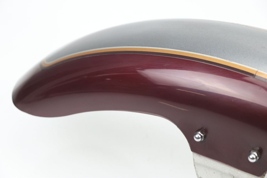 photo de FRONT FENDER LIFAN ROYAL KING 250 (2011 - 2019) - Fixing points details