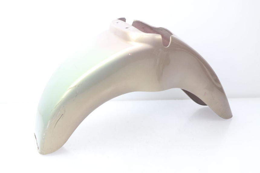 photo de FRONT FENDER APRILIA SCARABEO GT 125 (1999 - 2007) - Component detail