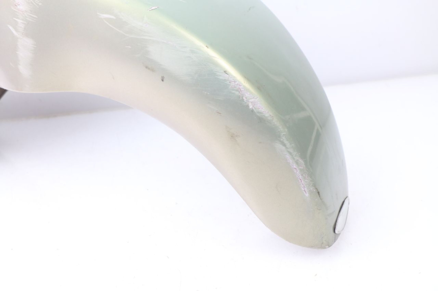 photo de FRONT FENDER APRILIA SCARABEO GT 125 (1999 - 2007) - Surface and material condition
