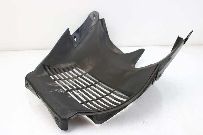 photo de RADIATOR COVER SUZUKI AN BURGMAN 400 (2006 - 2010) - Main view