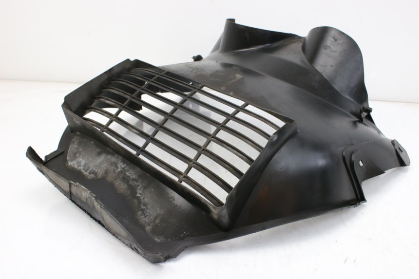 photo de RADIATOR COVER SUZUKI AN BURGMAN 400 (2006 - 2010) - Alternative perspective