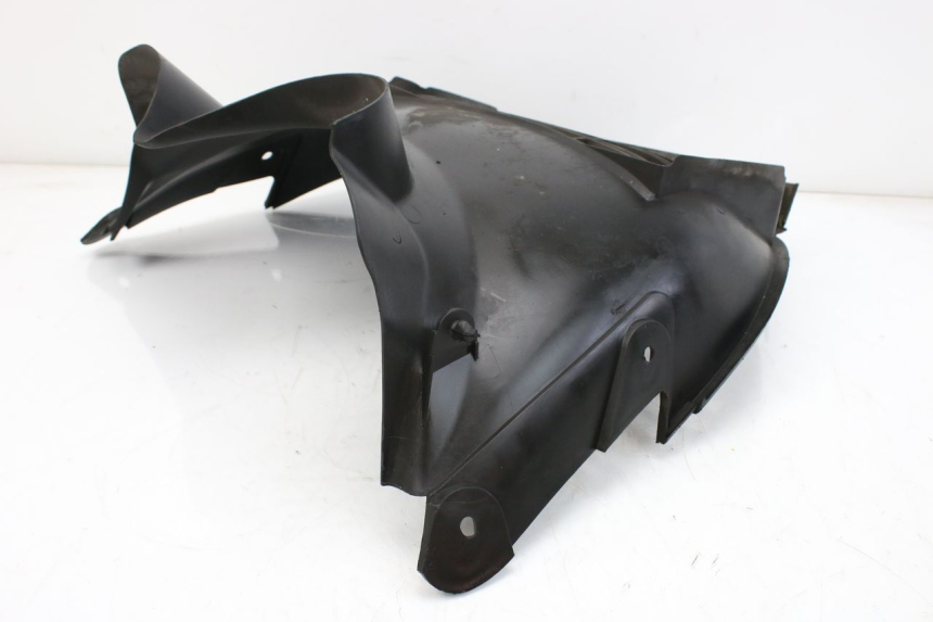 photo de RADIATOR COVER SUZUKI AN BURGMAN 400 (2006 - 2010) - Product overview