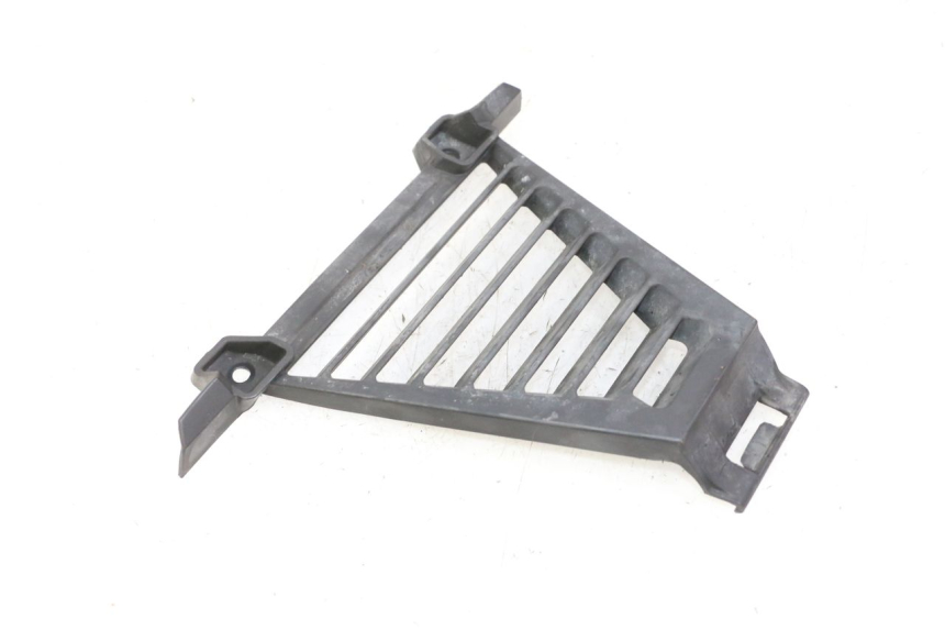 photo de RADIATOR COVER BMW G310 R 310 (2016 - 2020) - Alternative perspective