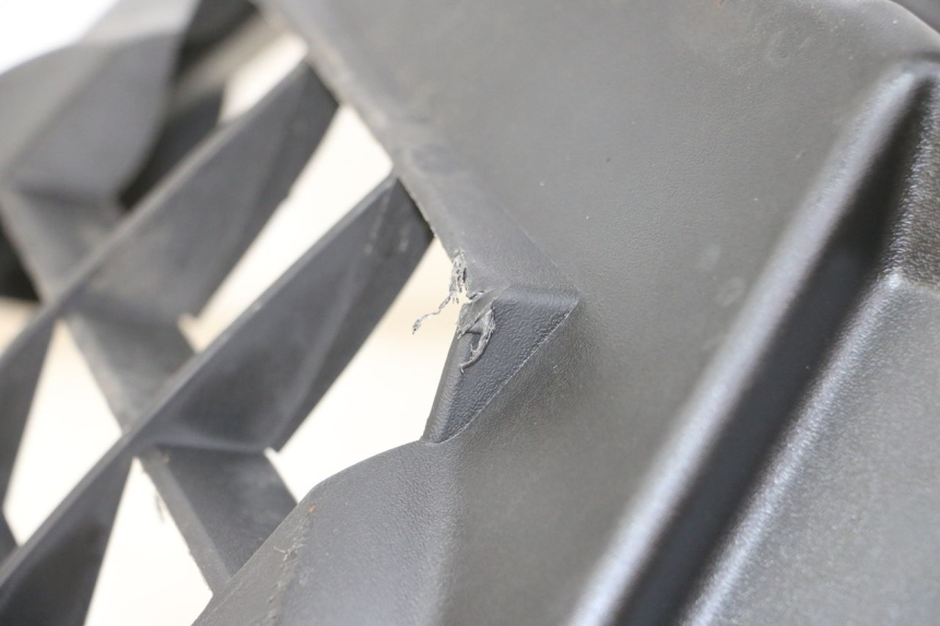 photo de RADIATOR COVER KYMCO XCITING 500 (2007 - 2010) - Alternative perspective