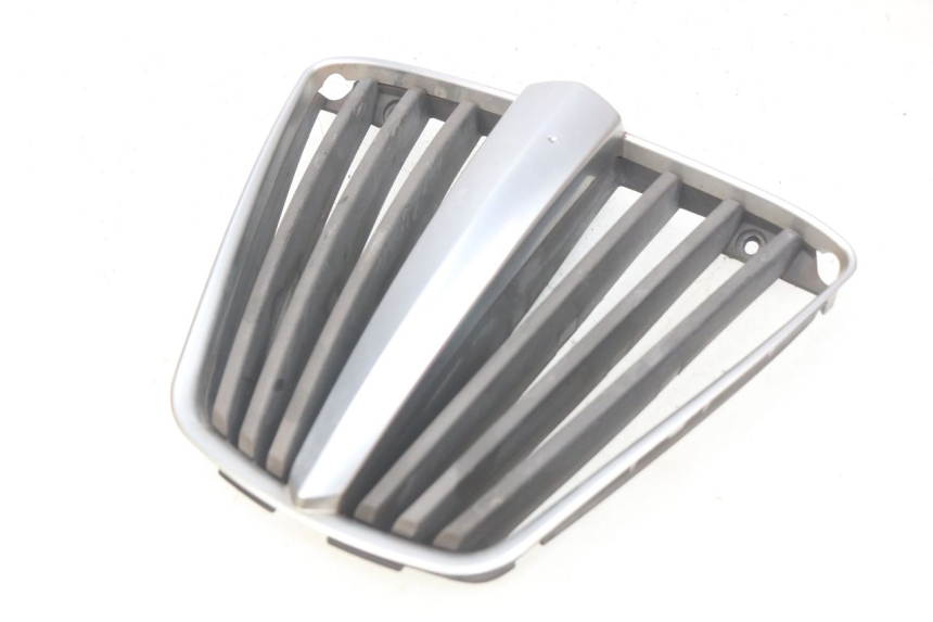 photo de RADIATOR GRILLE PIAGGIO MP3 LT 400 (2007 - 2012) - Component detail