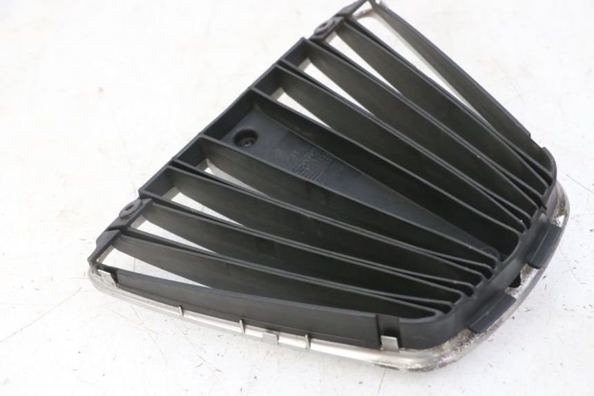 photo de RADIATOR GRILLE PIAGGIO MP3 LT 400 (2007 - 2012) - Product overview