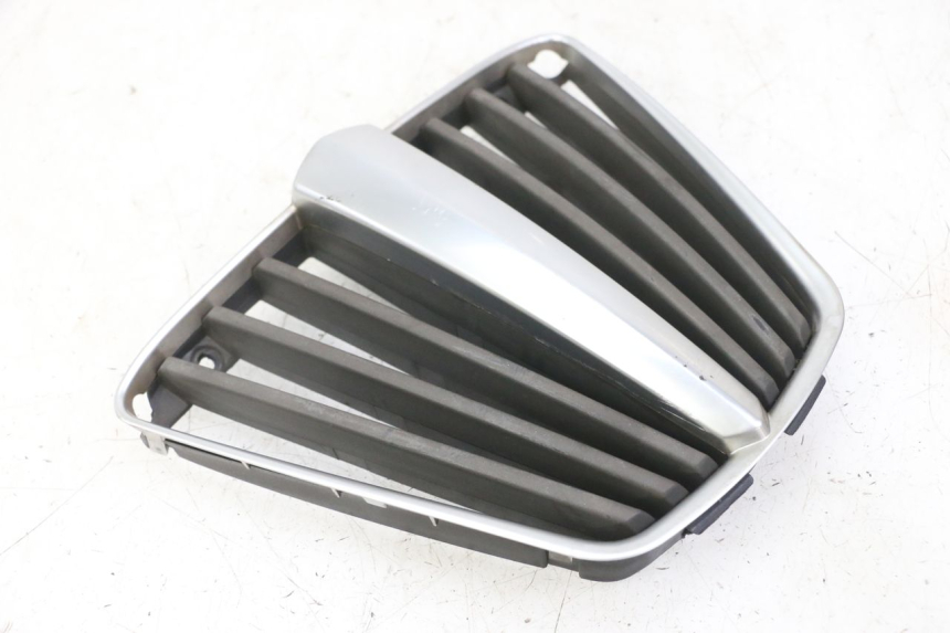 photo de RADIATOR GRILLE PIAGGIO MP3 LT 400 (2007 - 2012) - Surface and material condition